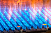Freathy gas fired boilers